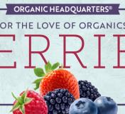 Image https://www.naturalgrocers.com/sites/default/files/styles/resource_finder_176x160/public/media_images/13902_May2022_HHL_FLOO_Berries_Thumbnail_676x326.jpg?itok=W44h2yWJ