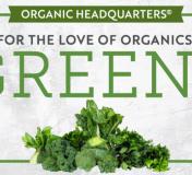 Image https://www.naturalgrocers.com/sites/default/files/styles/resource_finder_176x160/public/media_images/15917_2023_March_eHHL_FLOO_Greens_Thumbnail_676x326.jpg?itok=xRLzR7Xo