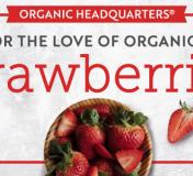 Image https://www.naturalgrocers.com/sites/default/files/styles/resource_finder_176x160/public/media_images/16326_2023_May_eHHL_FLOO_Strawberries_Thumbnail_676x326.jpg?itok=M4xph9cX